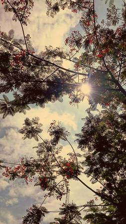 Cover photo