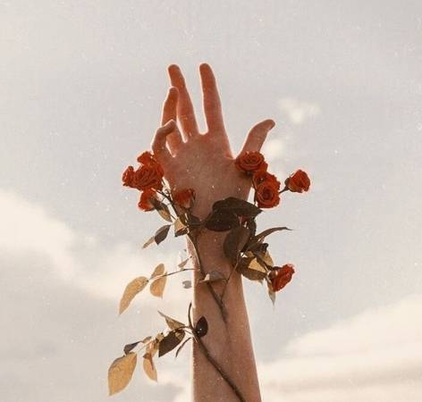 Cover photo