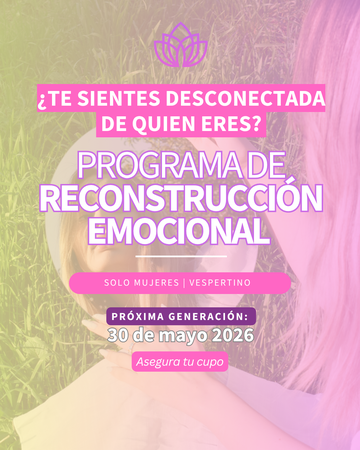 Psicóloga Paula Lantaño - Psicóloga y Terapeuta Emocional