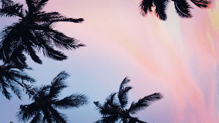 Cover photo