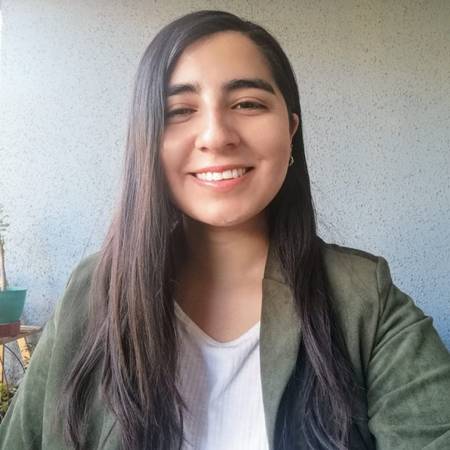 Nadeska Mestre Bastías - Abogada