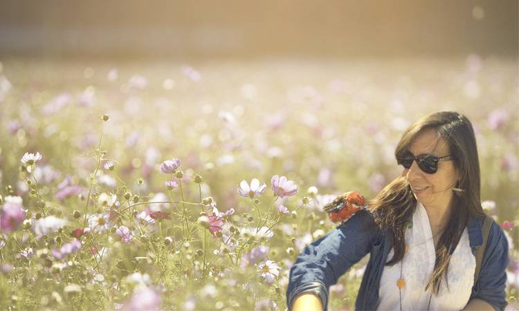 Cover photo