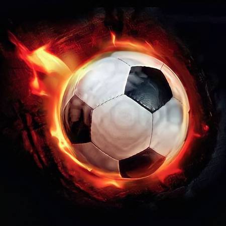 Cover photo