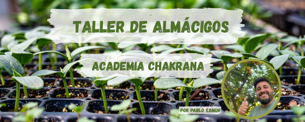 Foto de portada
