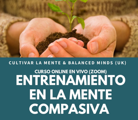 Foto de portada
