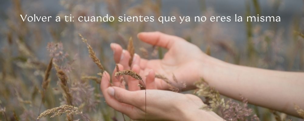 Foto de portada