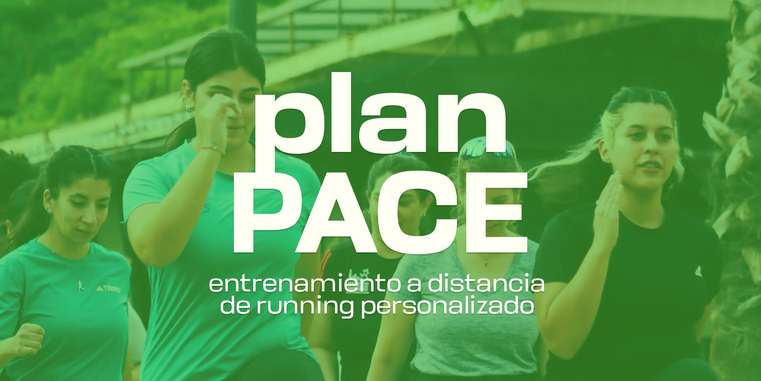 Foto de portada