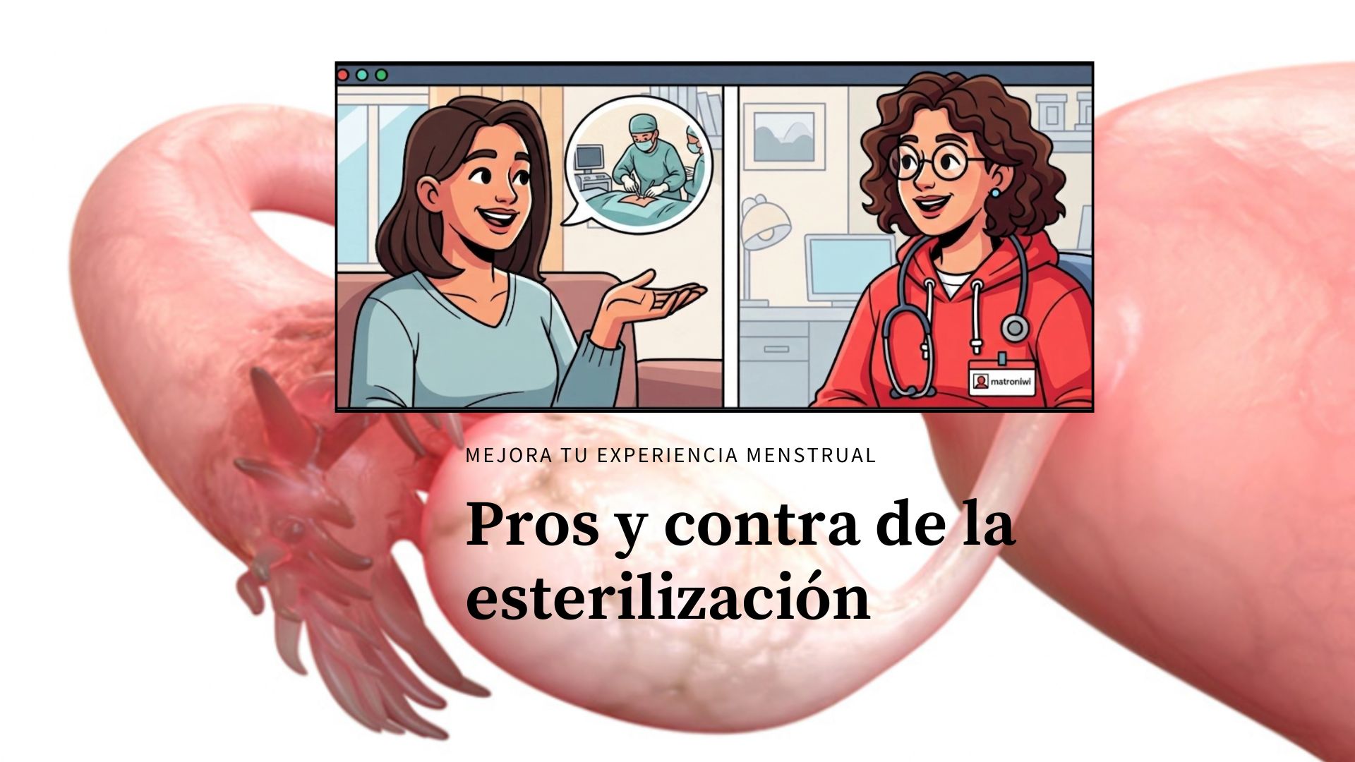 Foto de portada