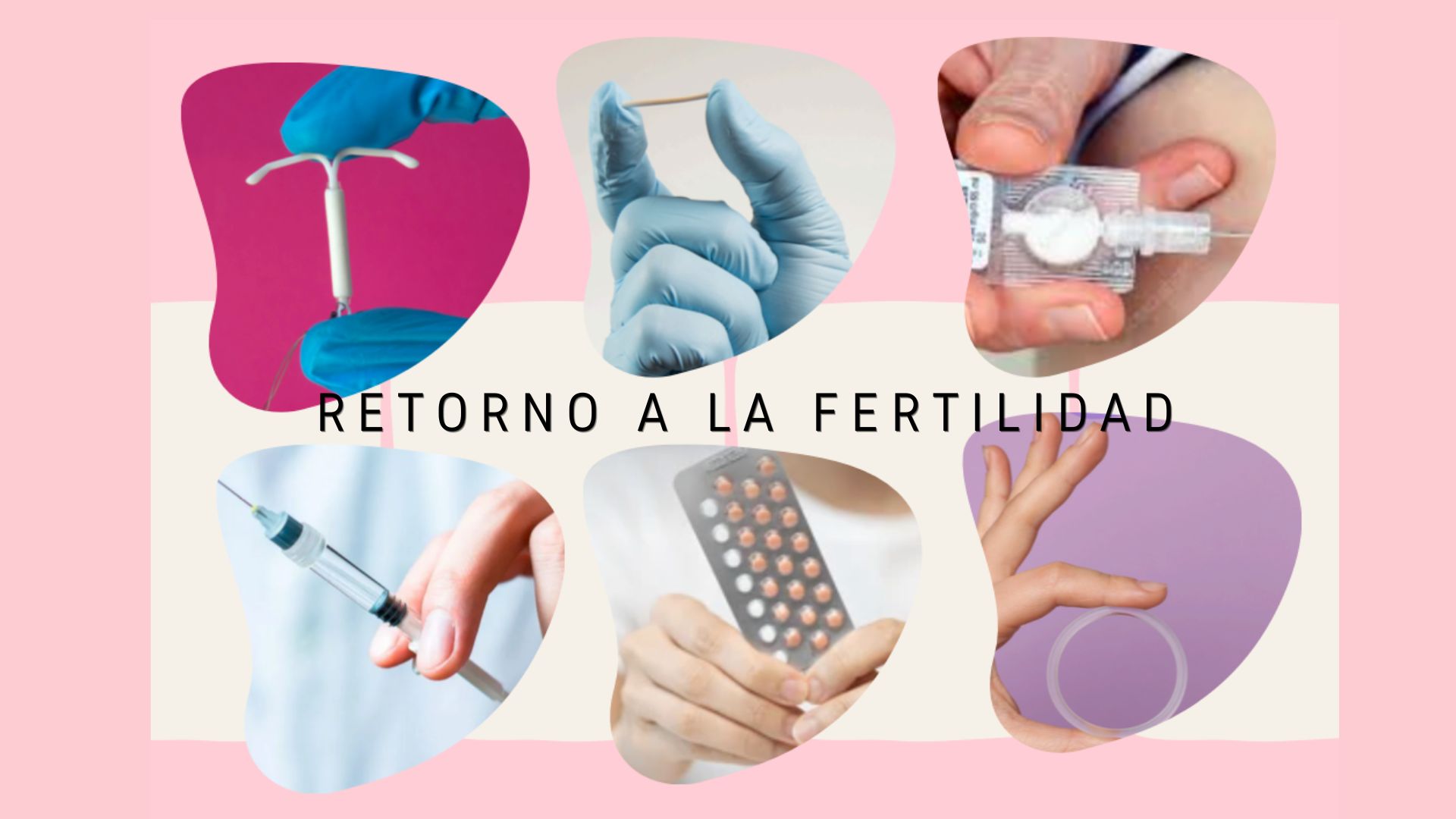 Foto de portada