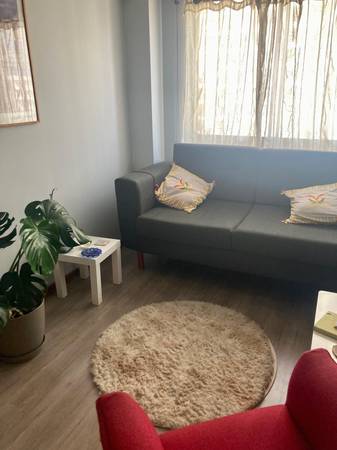 Main image gallery