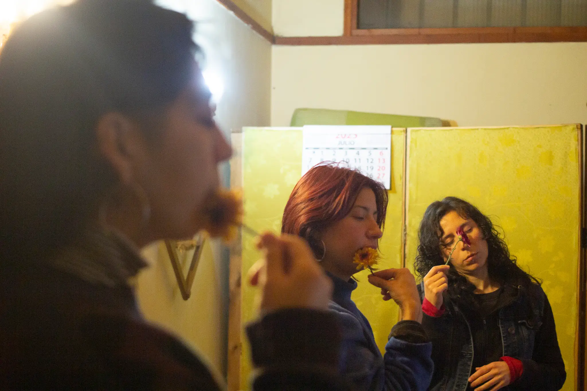 Imagen 2 de 3