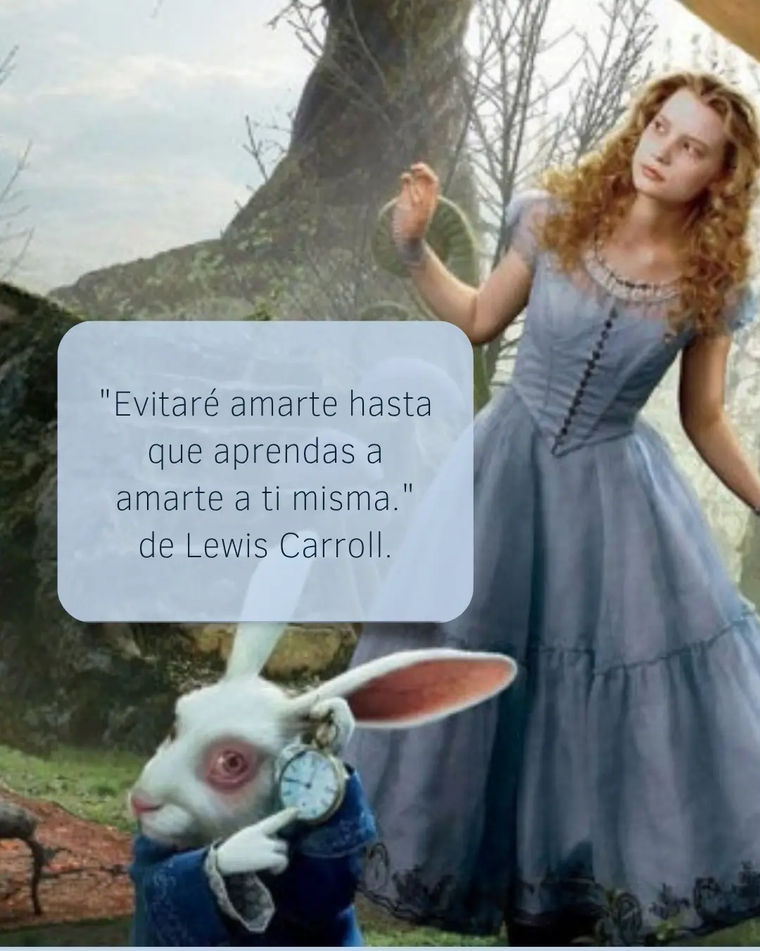 Imagen 1 de 3