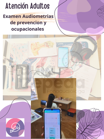 Imagen 3 de 3