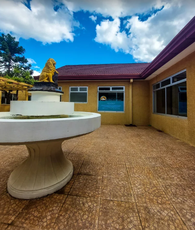 Main image gallery