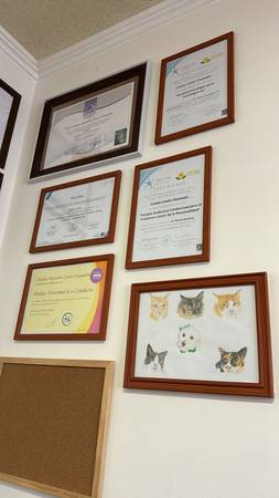 Main image gallery