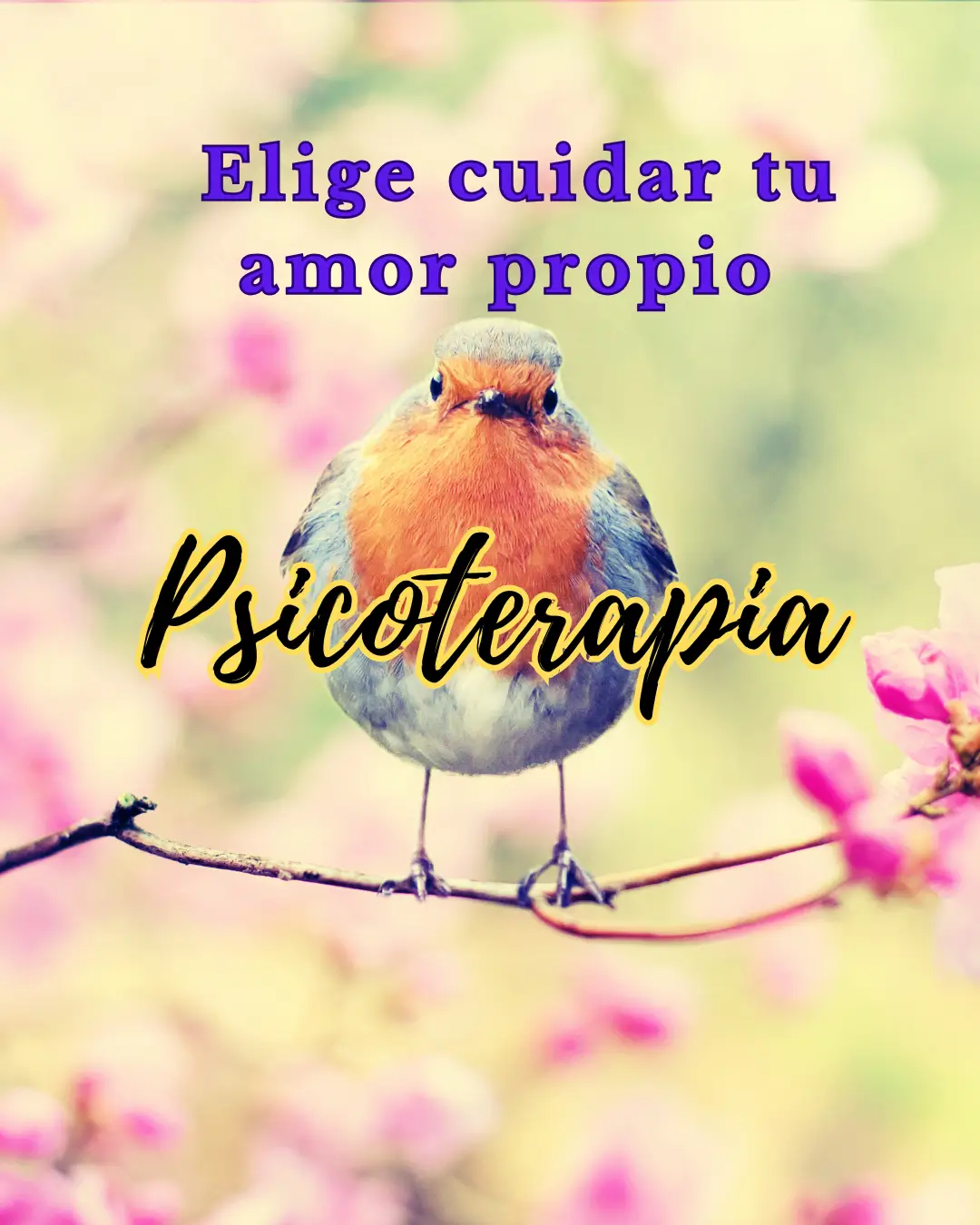 Imagen 3 de 3