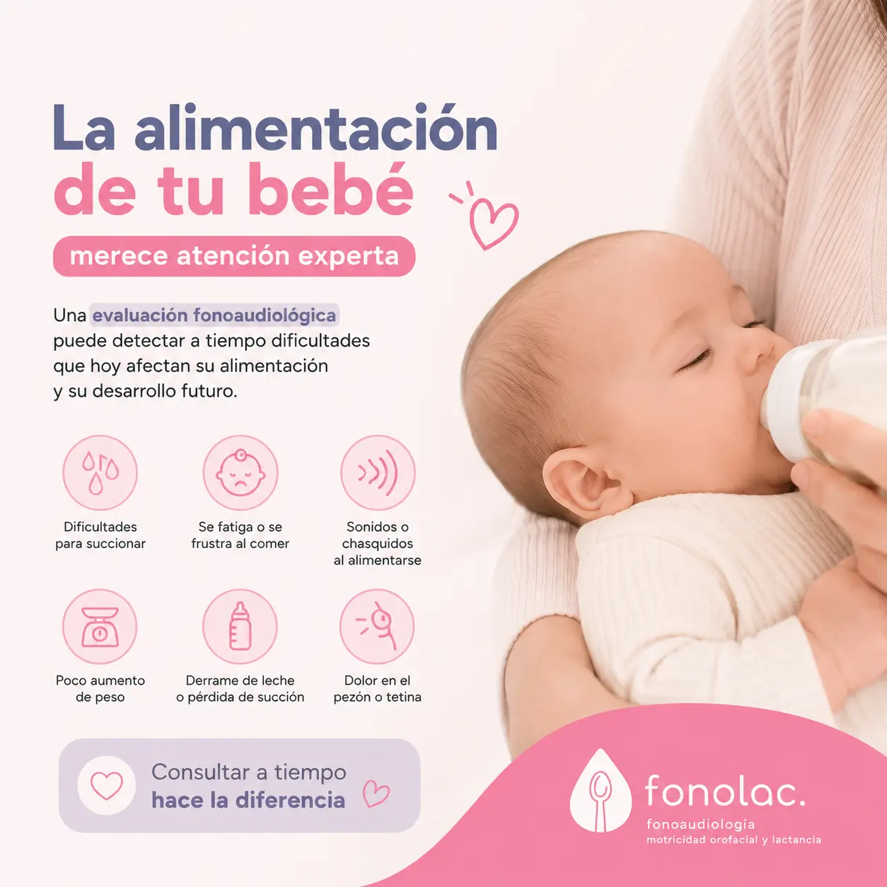 Imagen 2 de 2