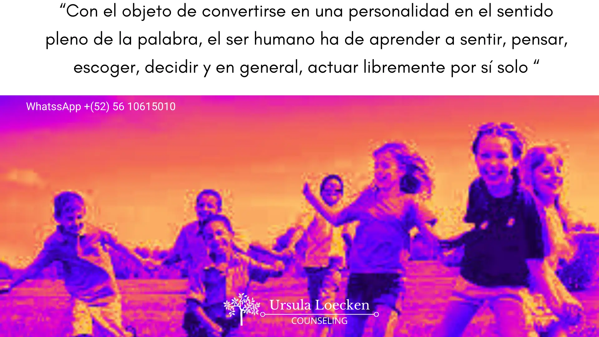 Imagen 1 de 3