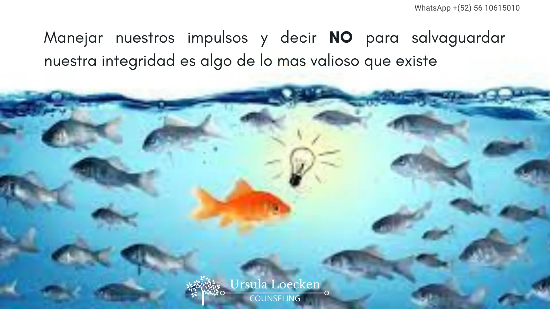 Imagen 3 de 3